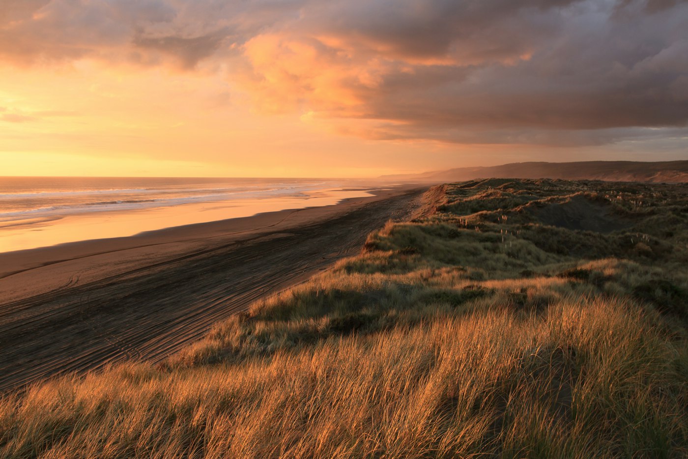 Coast